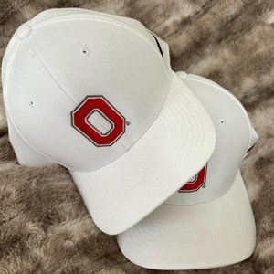 brand new nike ohio state university cap (1)